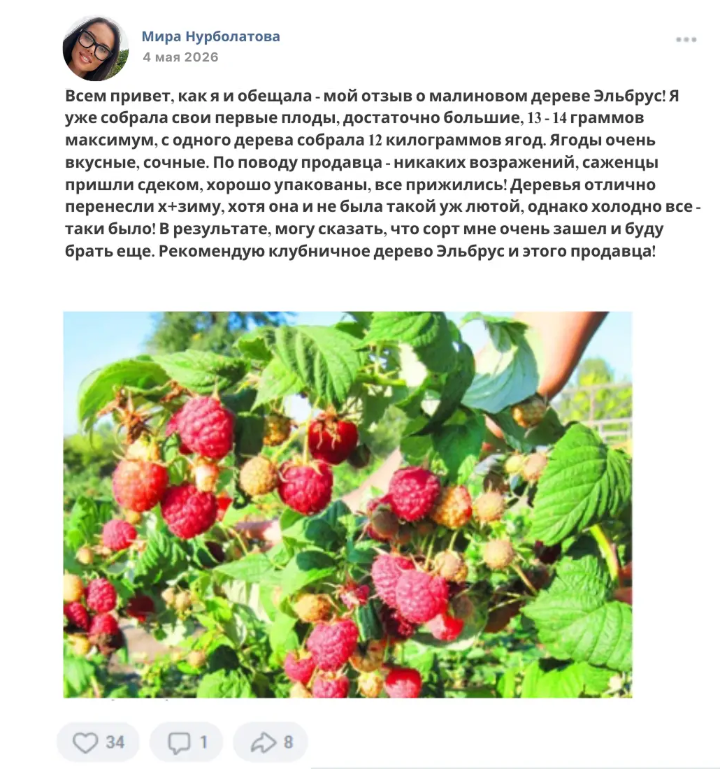 Отзыв покупателя Мира Нурболатова