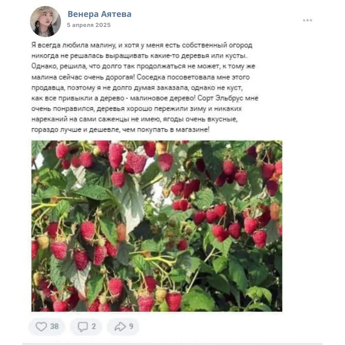 Отзыв покупателя Венера Аятева
