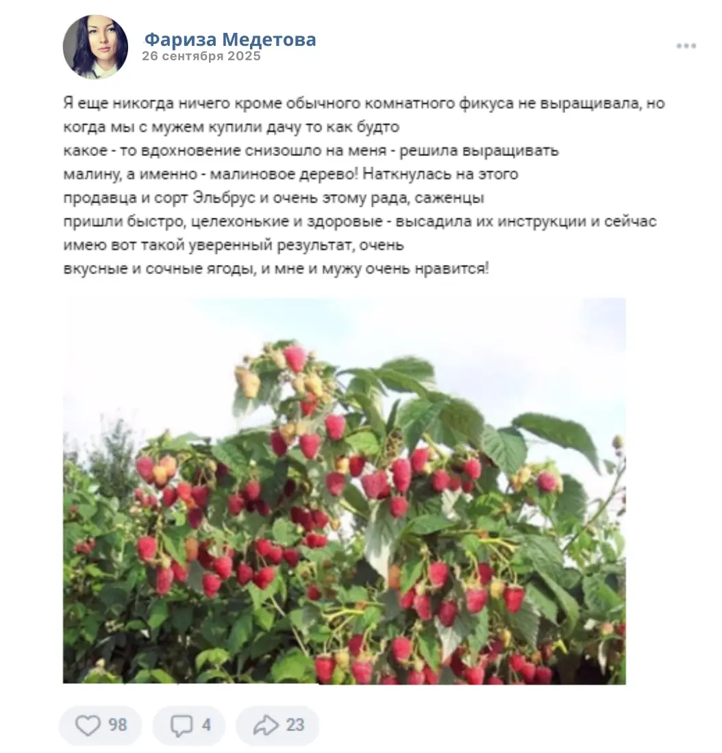 Отзыв покупателя Фариза Медетова